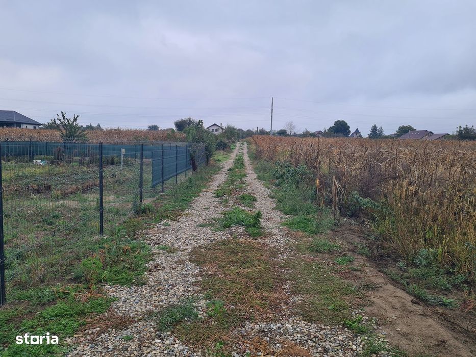 Teren intravilan 600 mp,  intrare Lilieci - Bacau