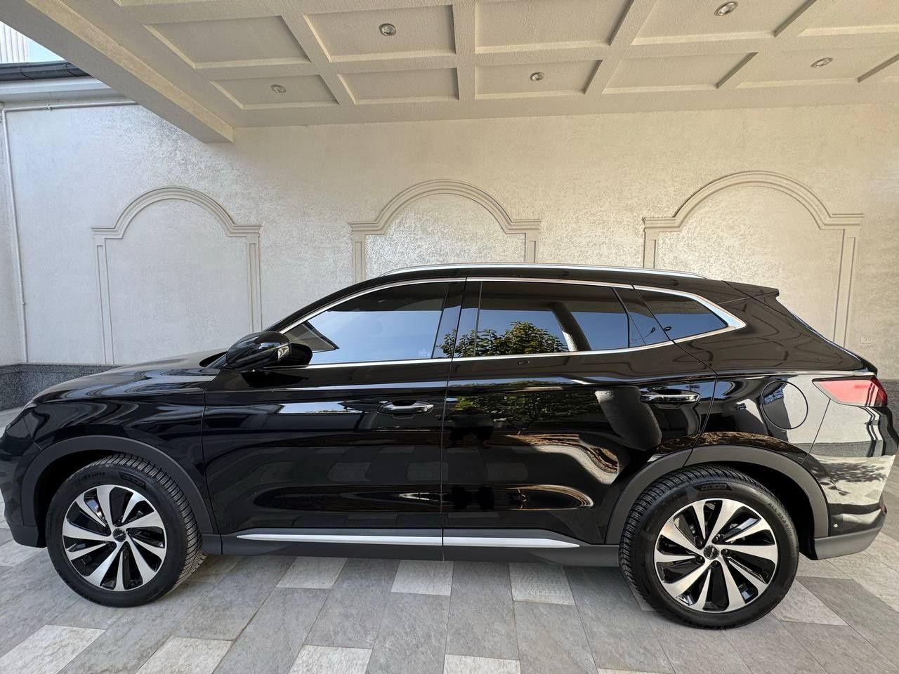 Byd chempion srochna arzon narhda