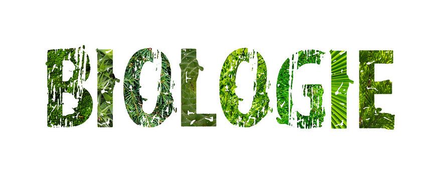 Meditați Biologie