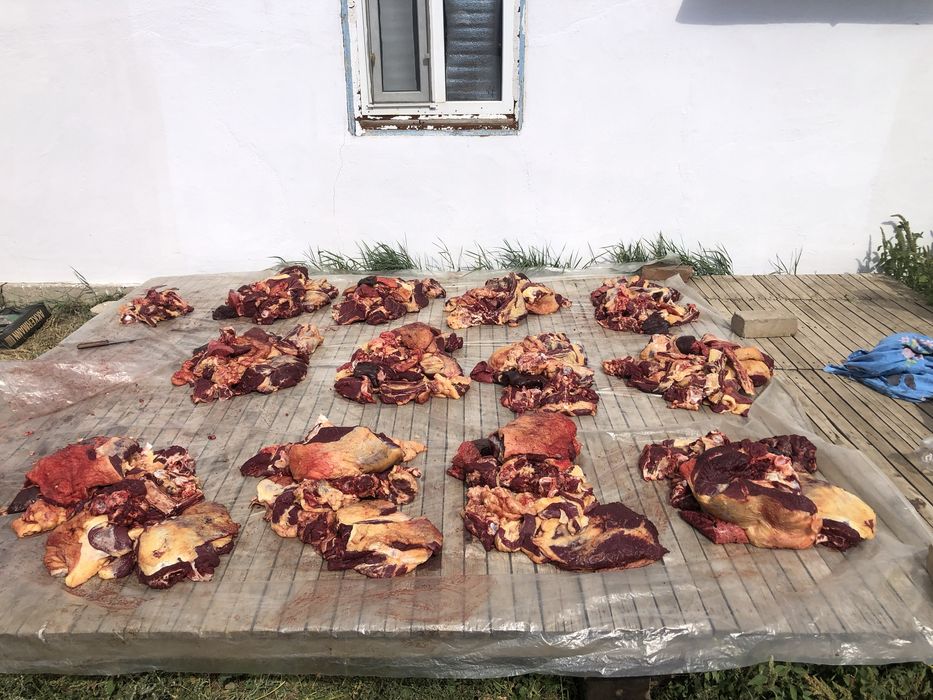 Жіліктеме ет қашар сиыр еті жиликтеме