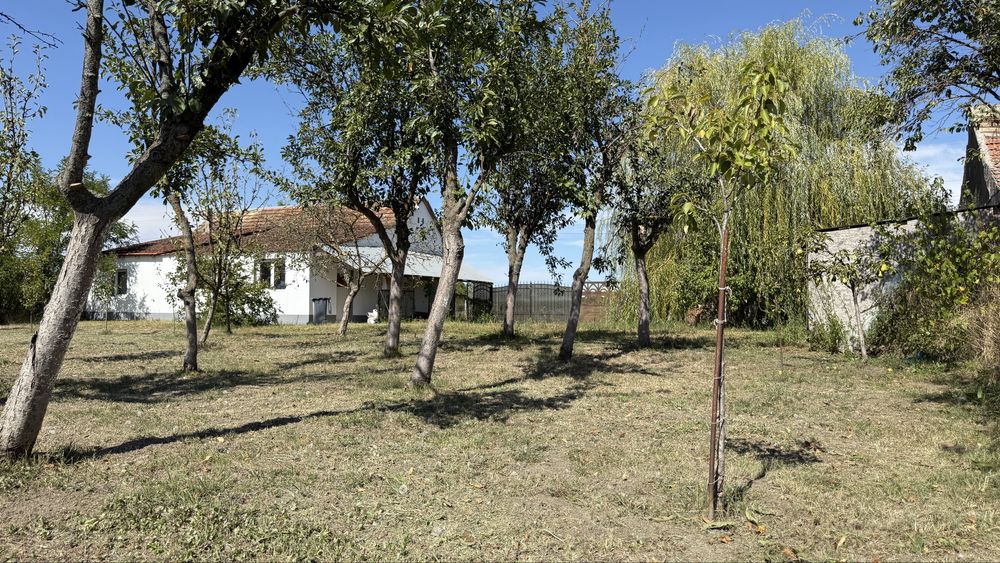 Casa Locuibilă Com Denta sat Breștea jud Timiș