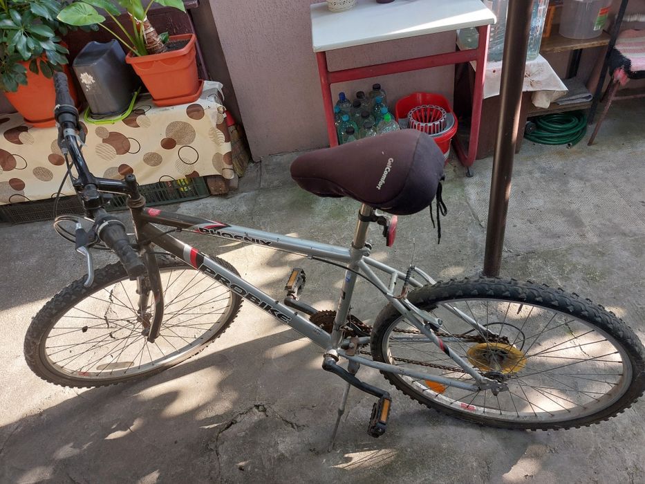 Bicicleta Pheonix pe 28