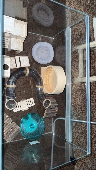 Cusca pentru hamsteri