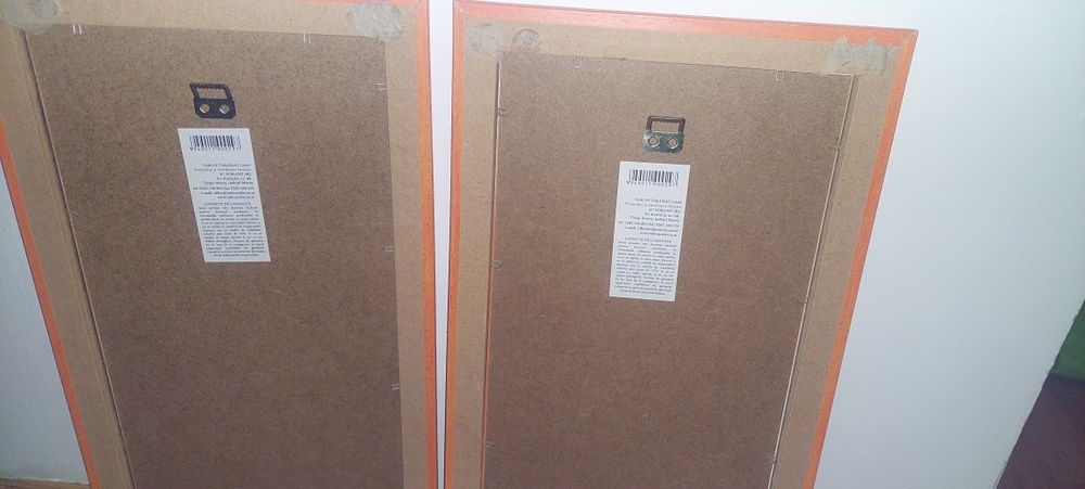Doua tablouri 23x49