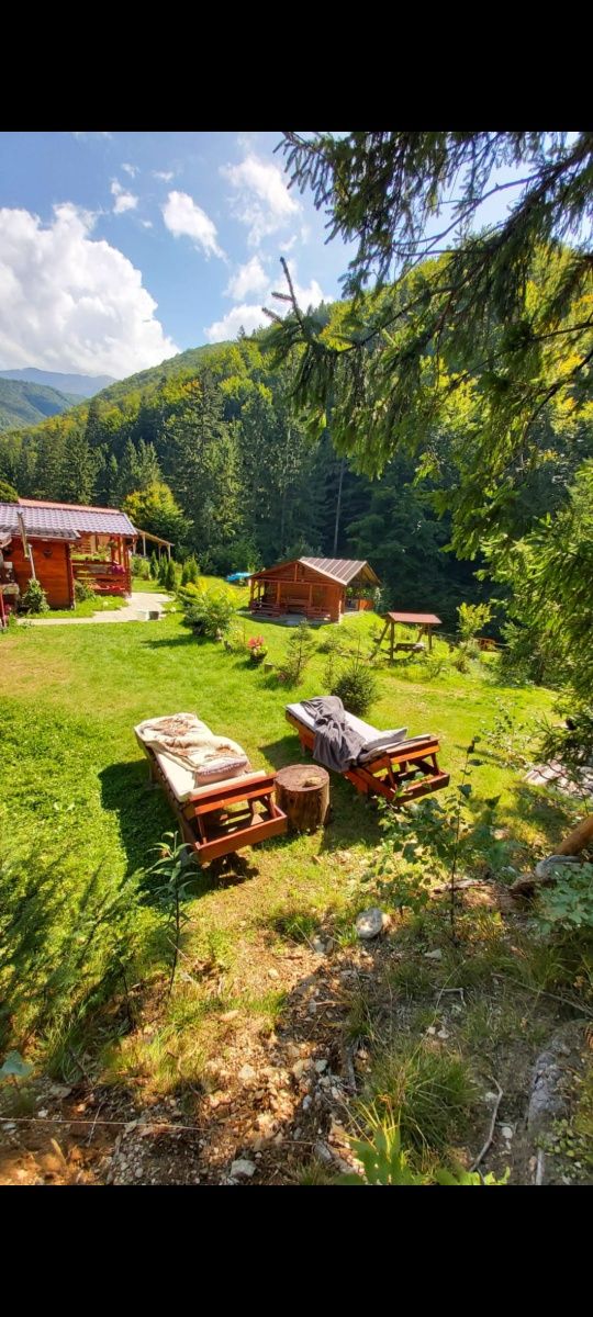 Cabana la munte, pe Valea Moașei, in apropiere de Sibiu