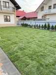 Gazon rulou premium