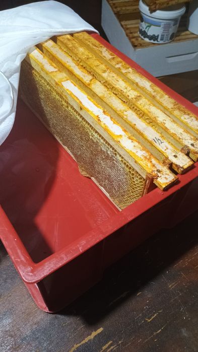 Miere poliflora naturala din stupina propie