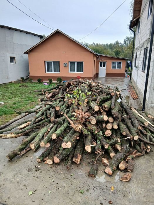 Vand lemne de foc esență tare, 4 m3 Județul Prahova