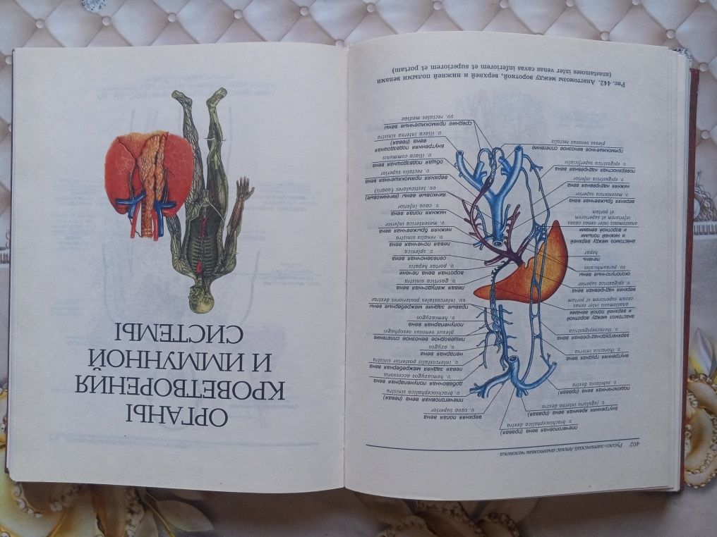 Анатомия человека сотилади