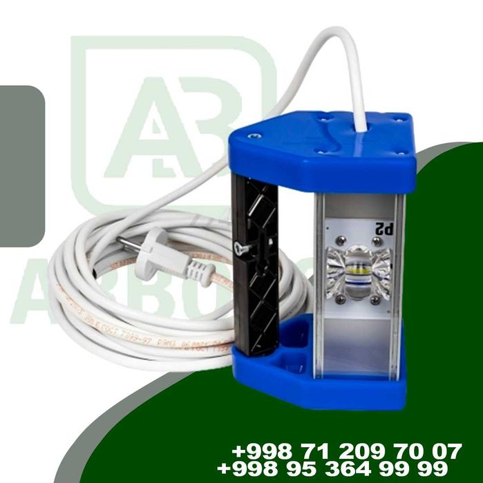 Mukammal devorlar siri — LOSEW WLL-01 lampa!