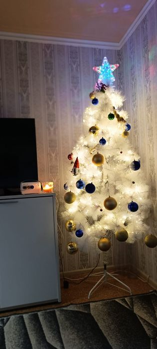 Елка белая.         .