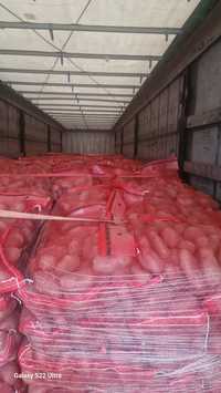 Cartofi import 25kg
