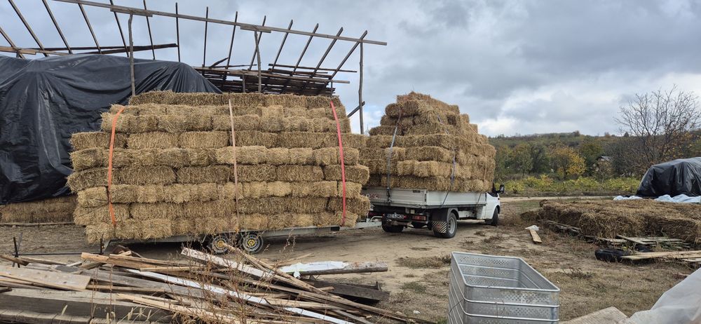 Baloți mici/mari de PAIE de GRAU, de IARBA de SUDAN/maturi. Producator