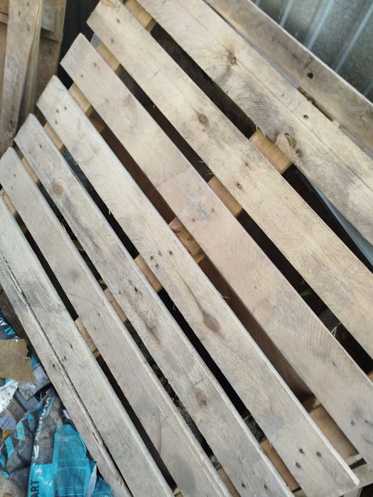 Продам поддоны отличные , целые, широкие .крепкие