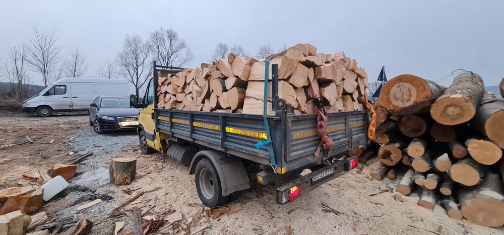 Lemne pentru foc fag