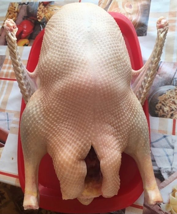 Продам тушки гусей