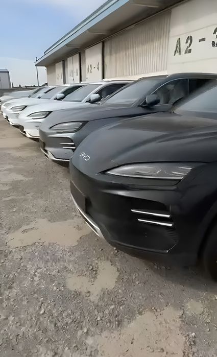 BYD song champion 605