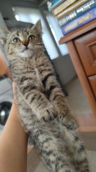 Мальчик ищет дом