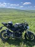 Motocicleta Yamaha MT-125