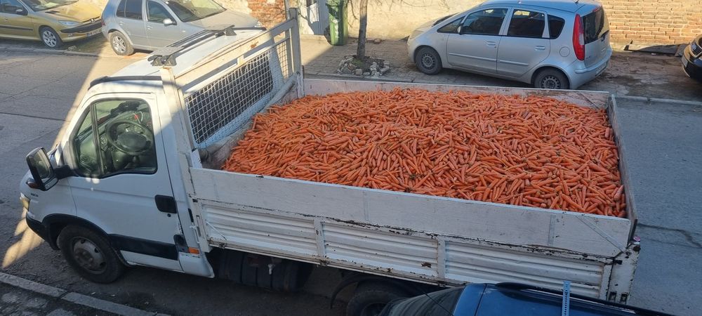 Предлагам моркови за животни