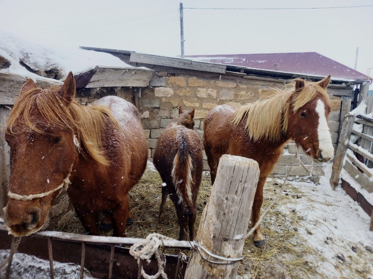 Срочно продается