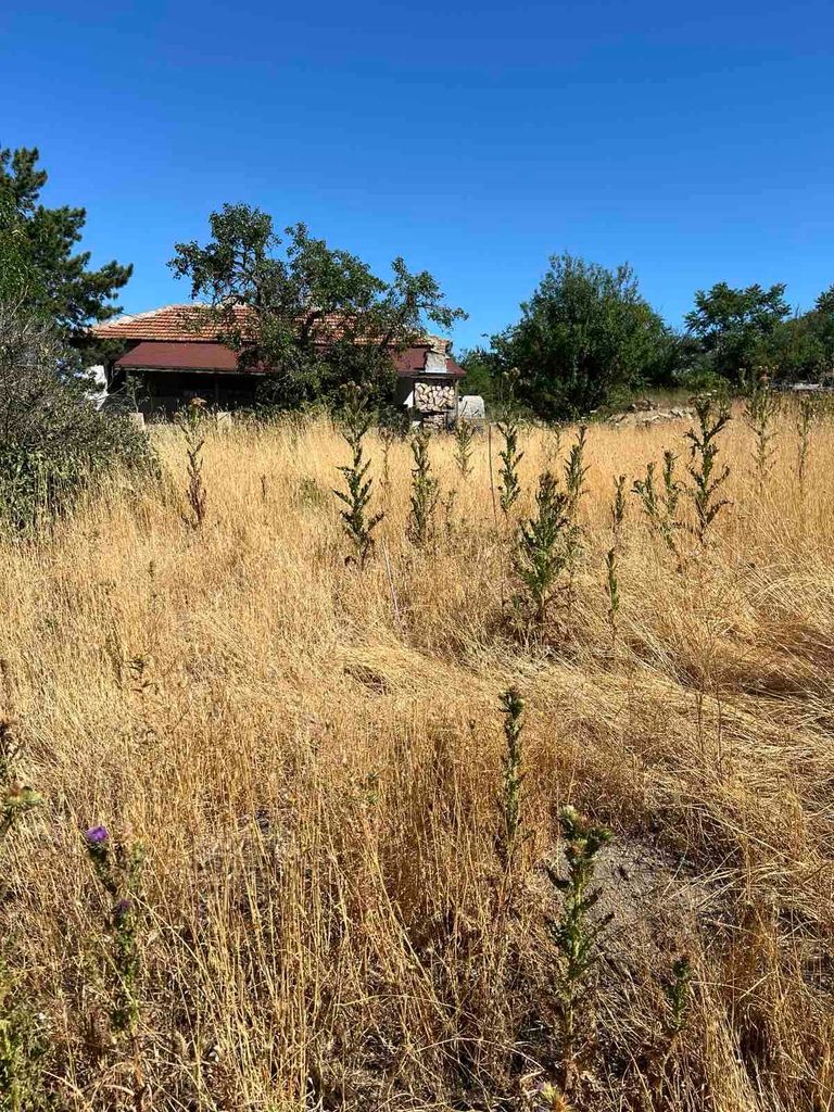 Продава се Парцел в с. Чернево, Област Варна - 1221 кв.м за 23 €/кв.м - Снимка #2