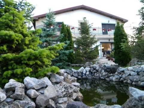 Meseriasi , constructori , interior-exterior  , oferim garanție  !