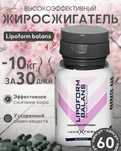 Липофарм lipoform капсула для похудения
