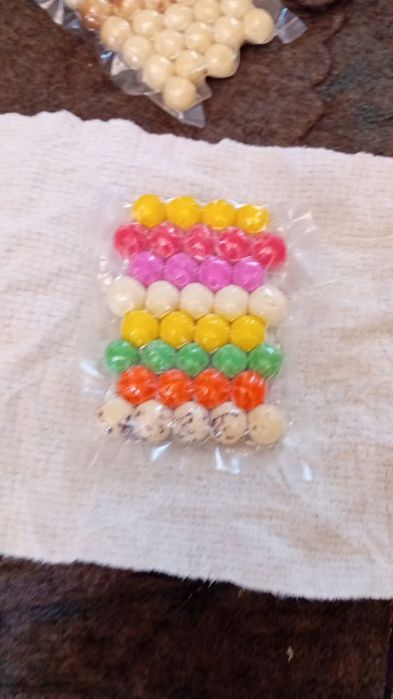 Chiroygayam tamgayam ega bogan qurtla bor