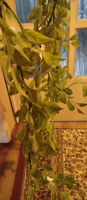 Лианы  искусственные -  производство  Совпластитал.