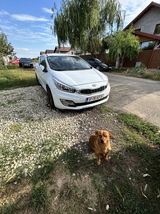 kia Pro ceed coupe