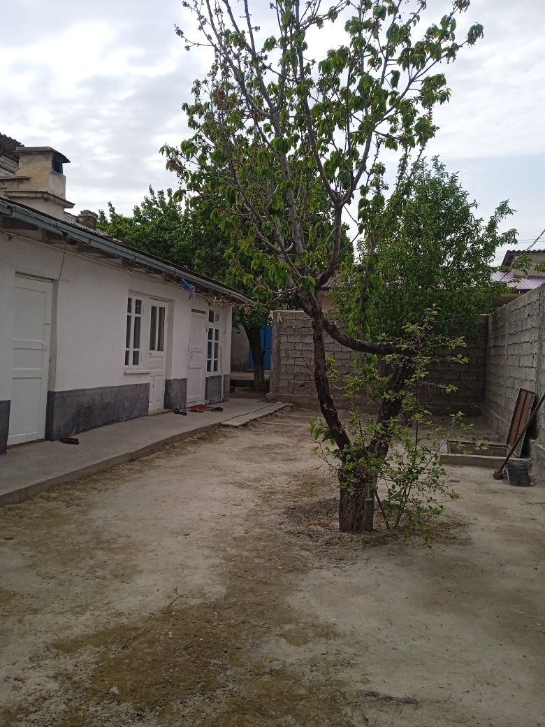 HOVLI SOTILADI oladigan odamlar bezovta qilsin