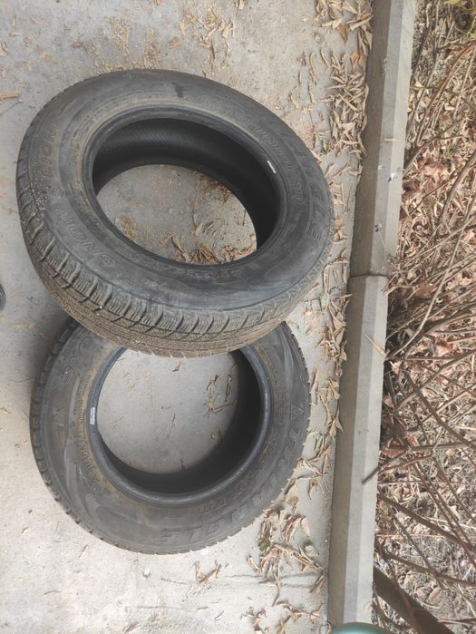 Шины зимние пара Triangle Snow Lion