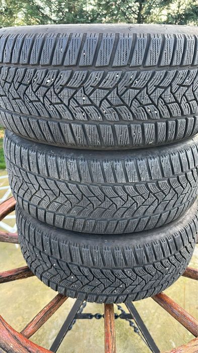 Dunlop Winter Sport 5 225/55 R16 99H