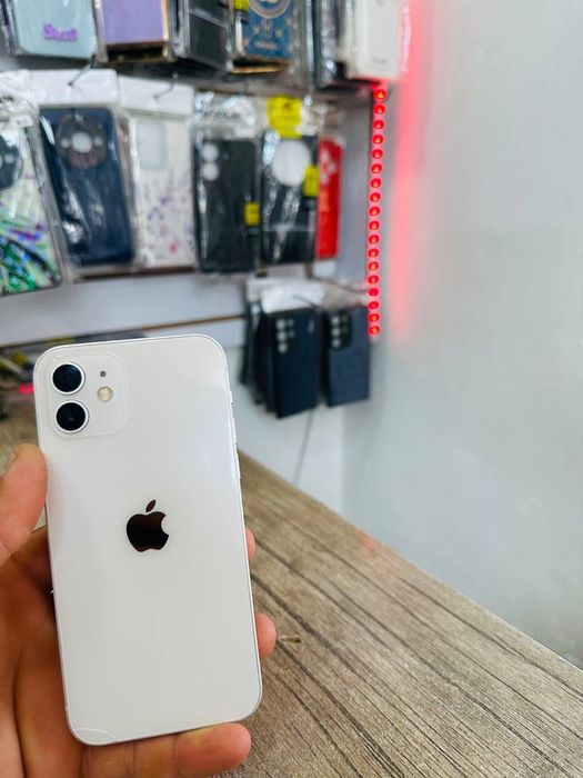 Iphone 12 oq rangli