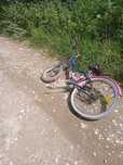 Bicicleta performanta