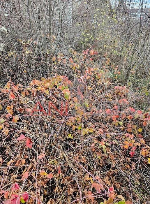 Къща в Перник, област-с.Гърло площ 63 кв.м ,цена 48500 Евро