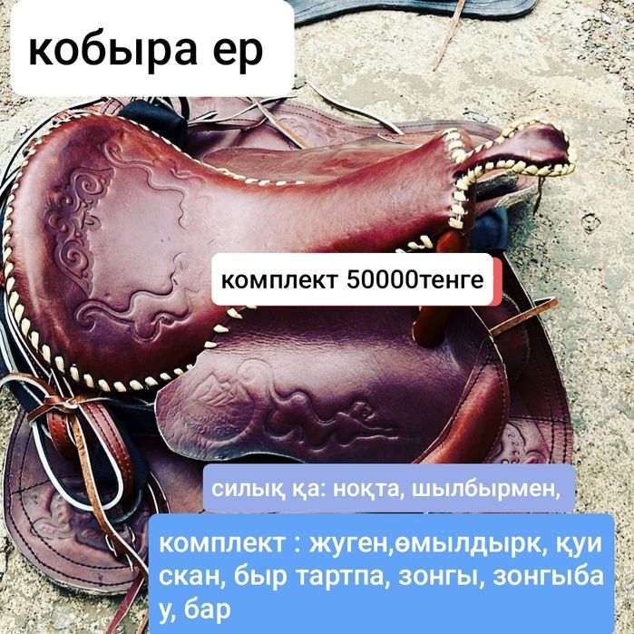 Ат әбзелдеры Тдк