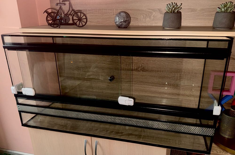 Snake Terrarium Starter Pack