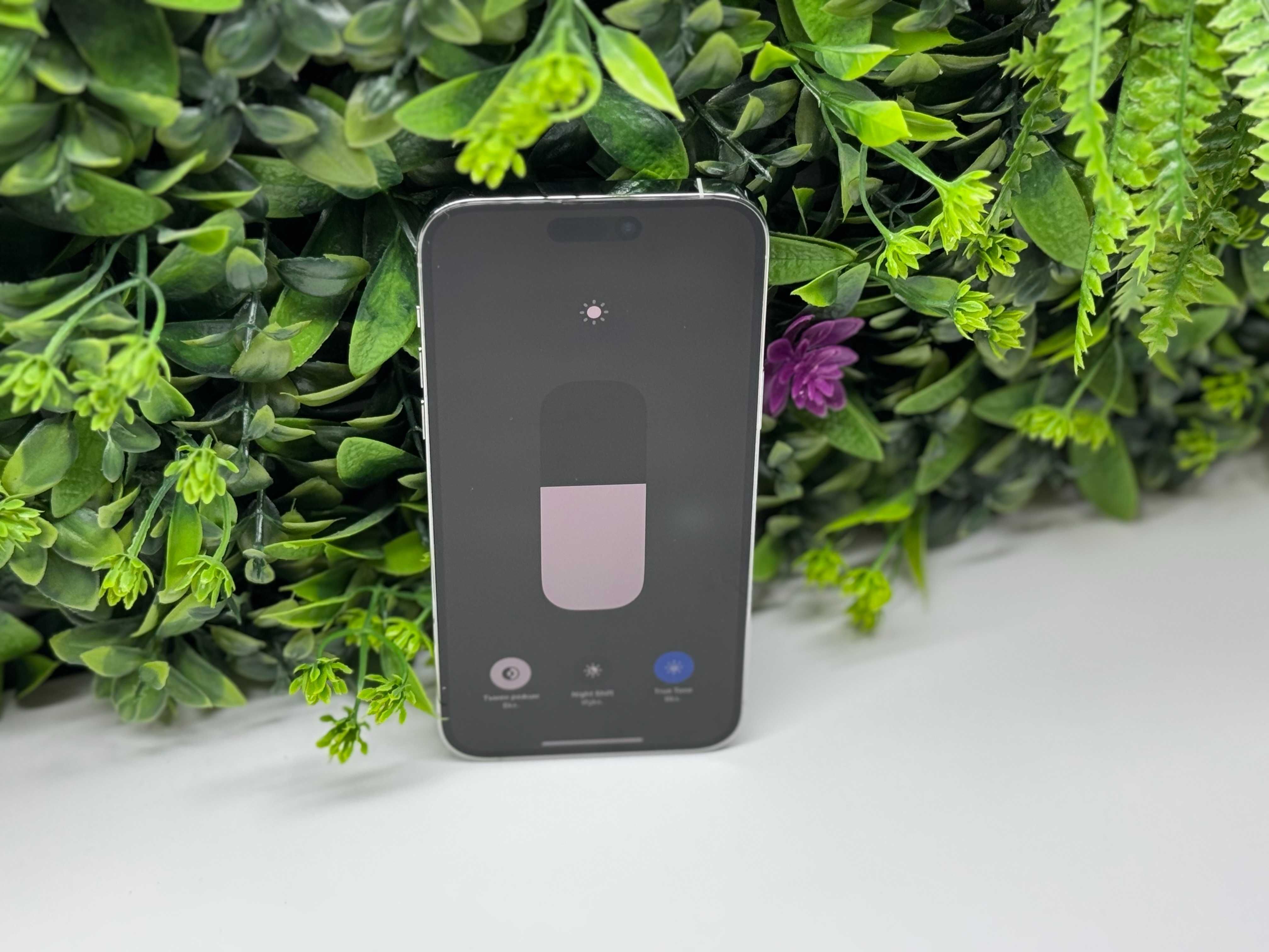 iPhone 14 Pro Max 256GB Silver Гаранция