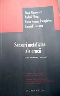 Sensuri metafizice ale crucii (2007, A. Manolescu, Pleșu, Patapievici)