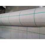 Agrotextil alb 100 gr/mp la metru