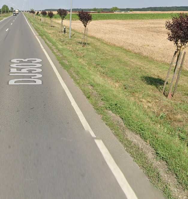 Teren de vanzare 13600mp intravilan-industrial Branesti Ilfov DN3