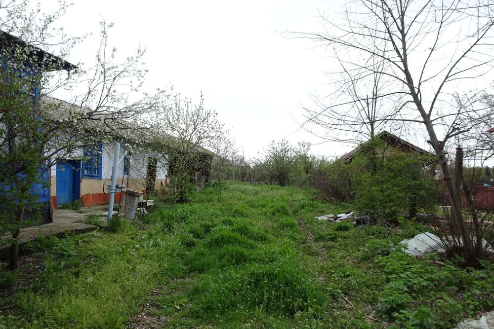 Casa batraneasca cu gradina,  suprafata 2.000m2