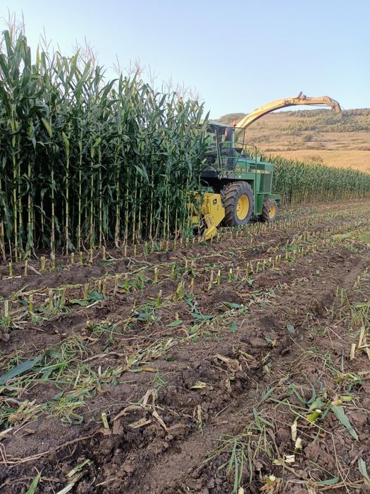 Tocare Porumb Siloz Tocatoare Siloziera