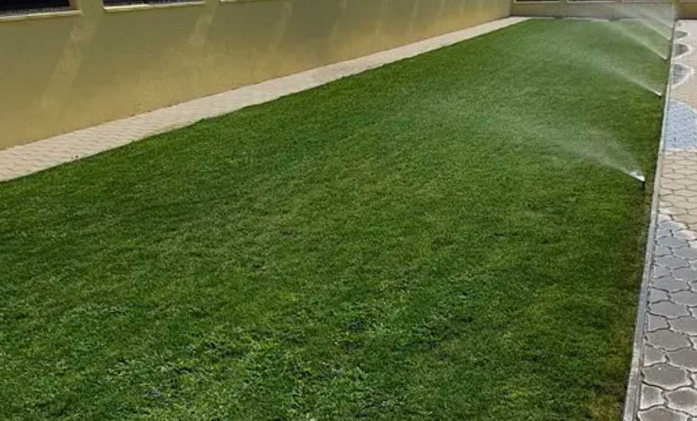 Gazon Rulouri  Transport oriunde in tara