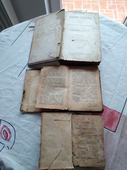 Biblie an Limba Maghiara