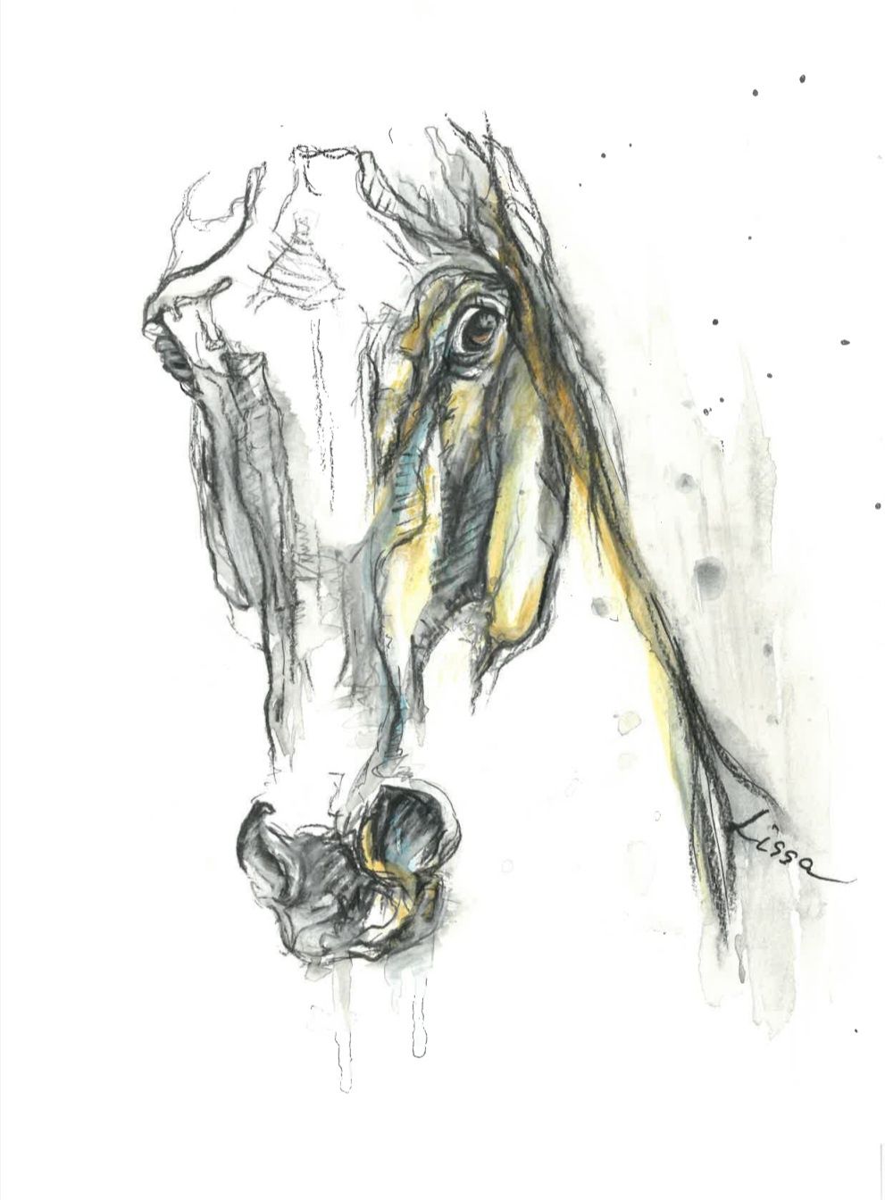 Серия картини с коне- смесена техника