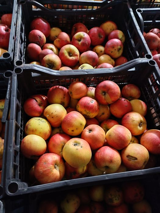Mere de vânzare pentru consum