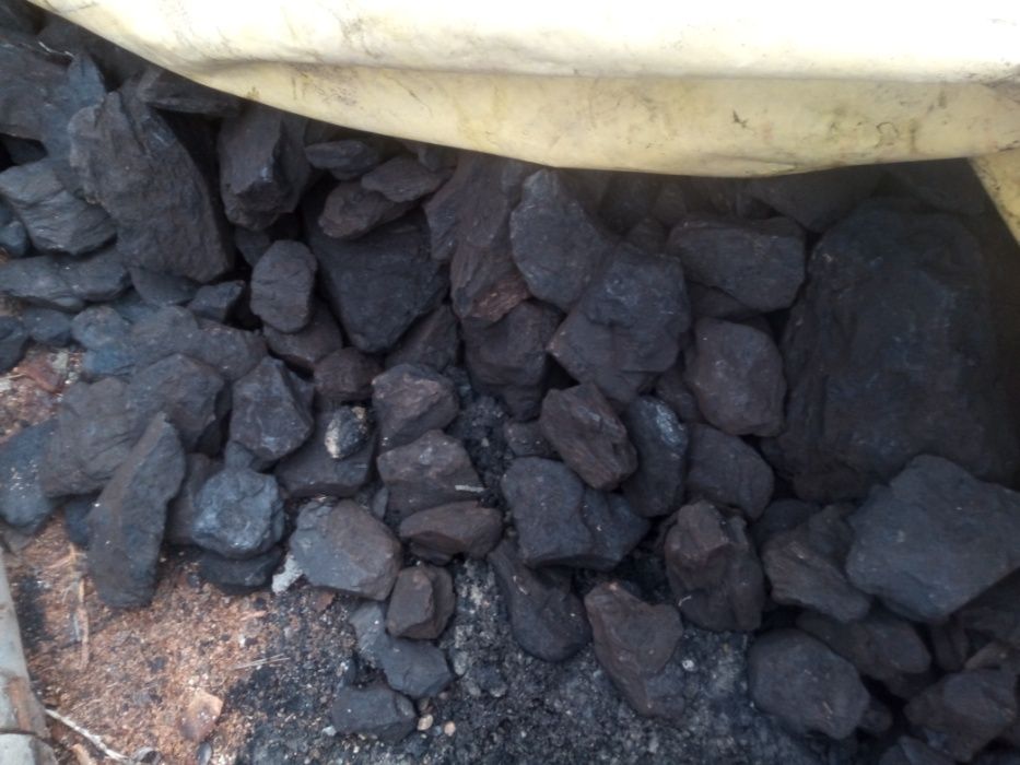 Deșeuri fag tăiate cărbuni lignit